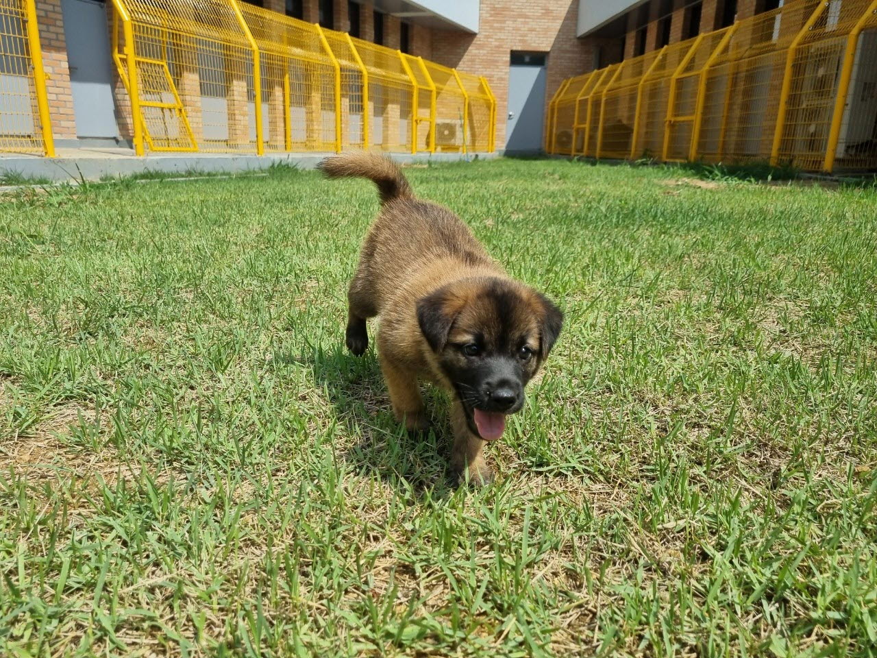 아산동물복지지원센터_444452202301396