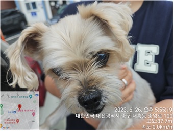 대전동물보호센터_430365202300287