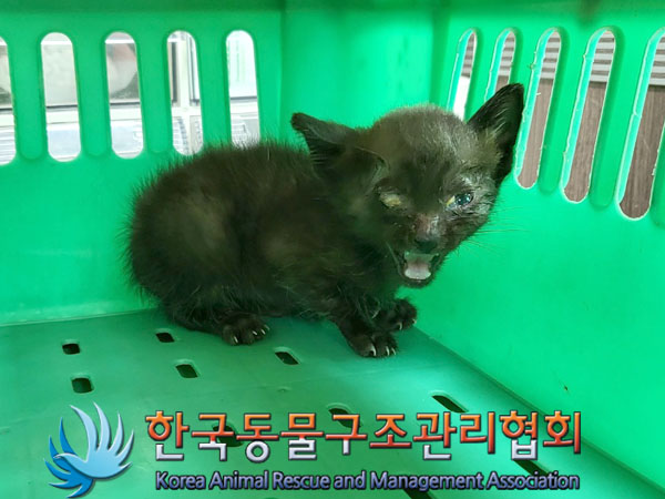 한국동물구조관리협회_411311202300550