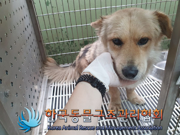 한국동물구조관리협회_441559202300473