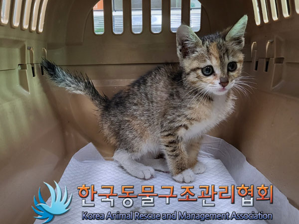 한국동물구조관리협회_411300202300248