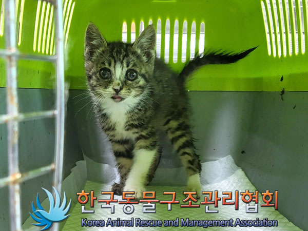 한국동물구조관리협회_411315202300436