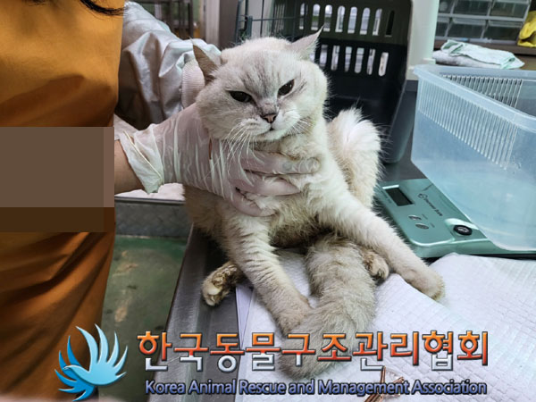 한국동물구조관리협회_411301202300331