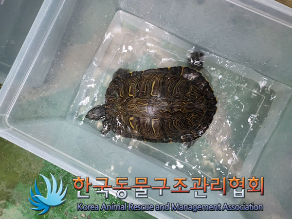 한국동물구조관리협회_411315202300439