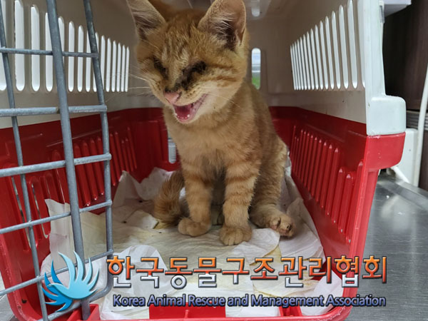 한국동물구조관리협회_441406202300937