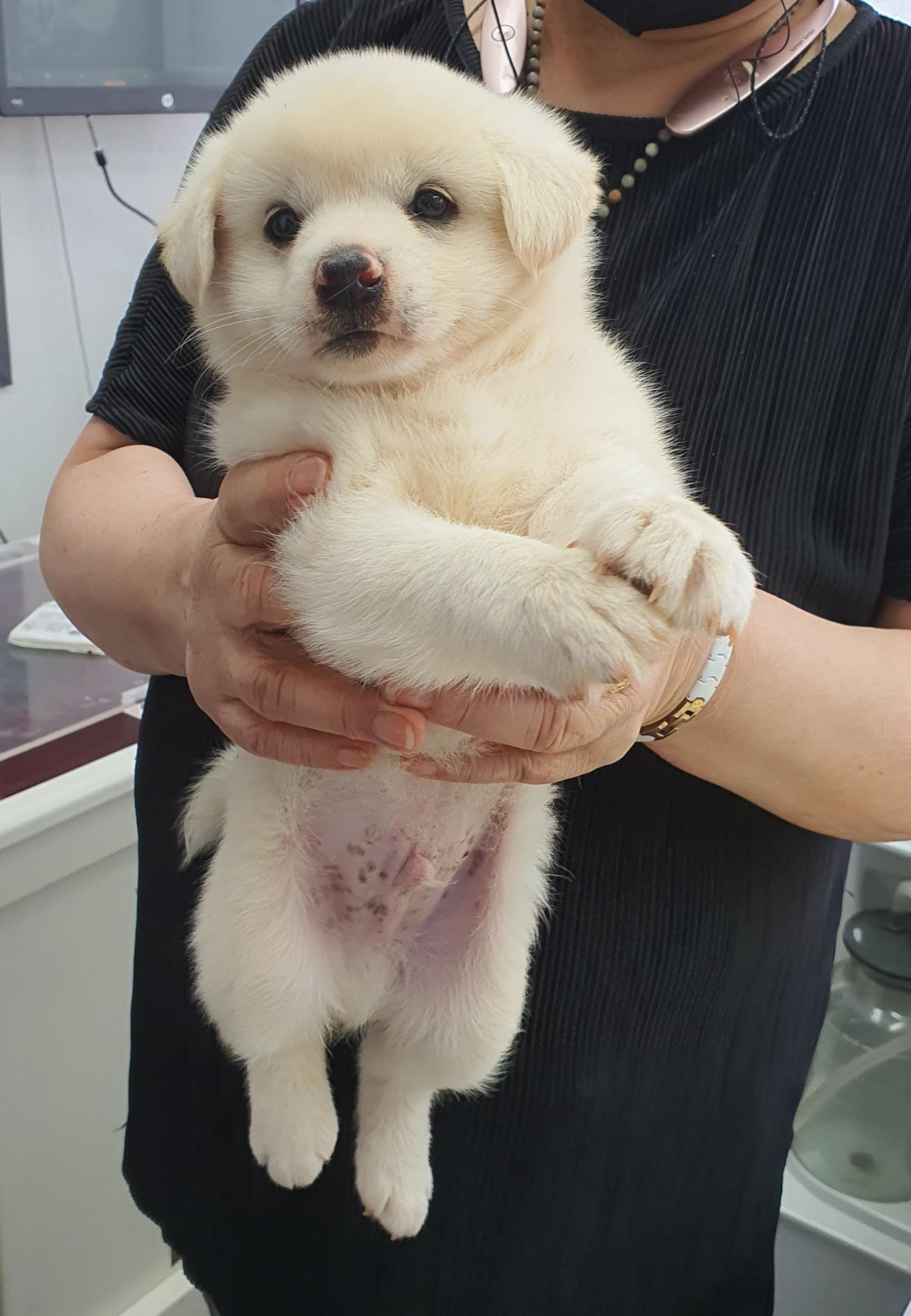베스트동물병원_428357202300579