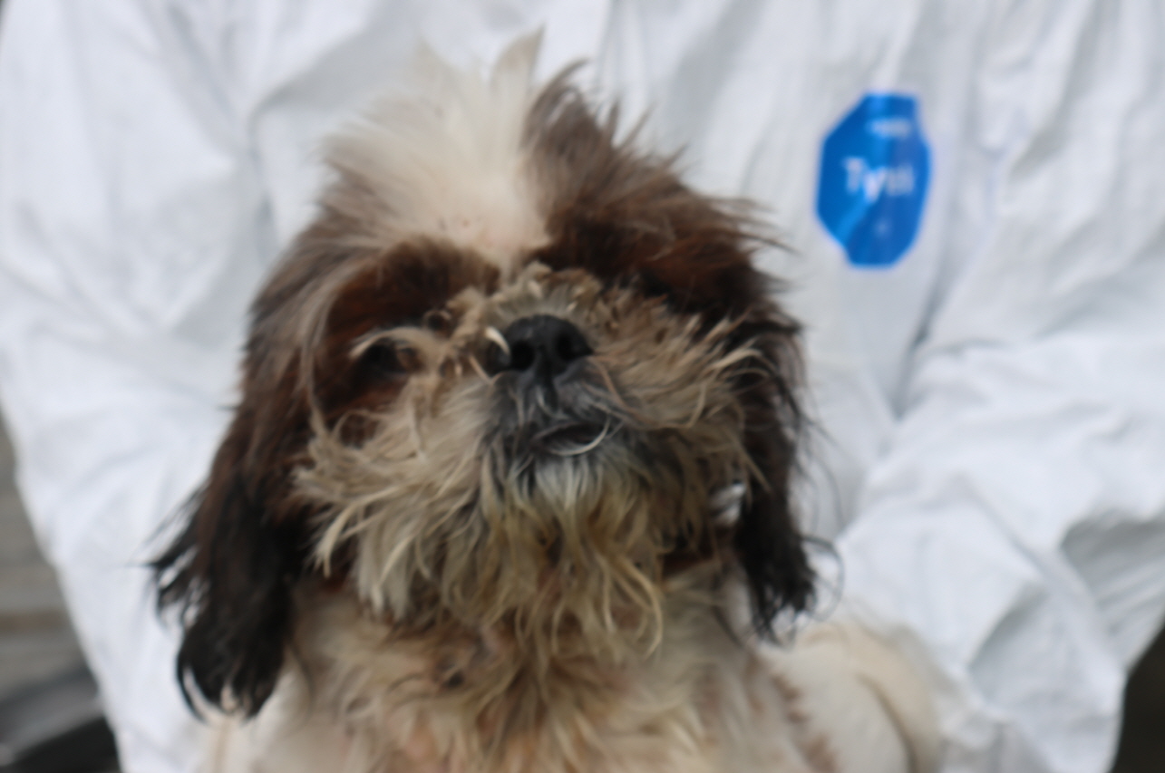 제주 동물보호센터_450650202302152