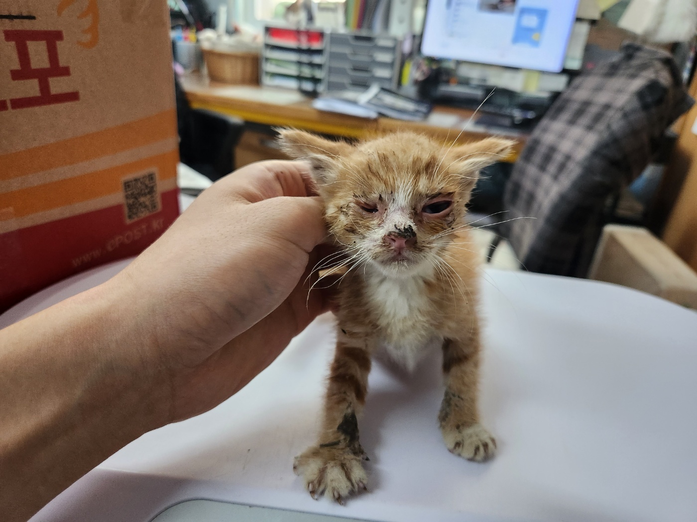 광주 동물보호소_429362202300542