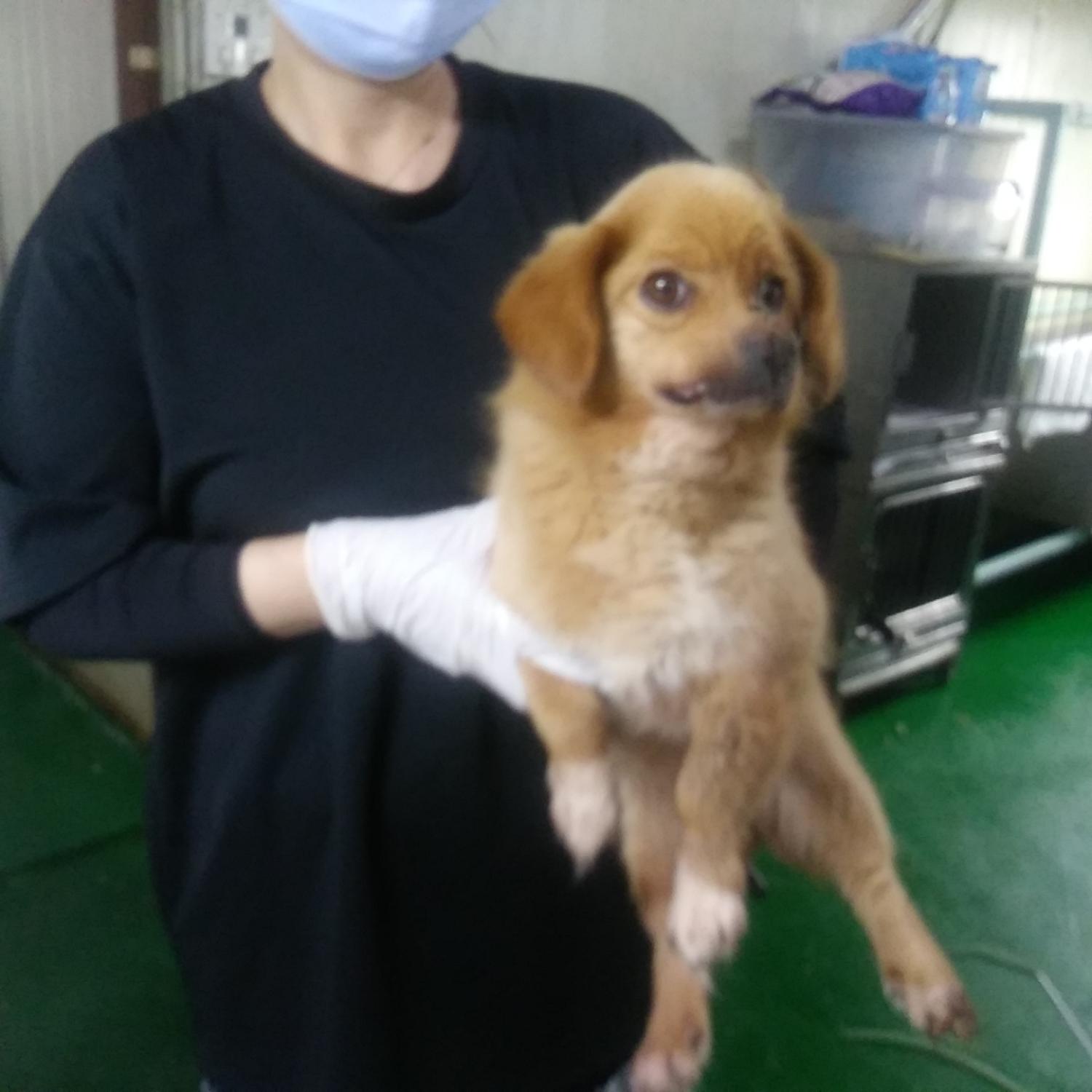인천광역시수의사회_428353202300794