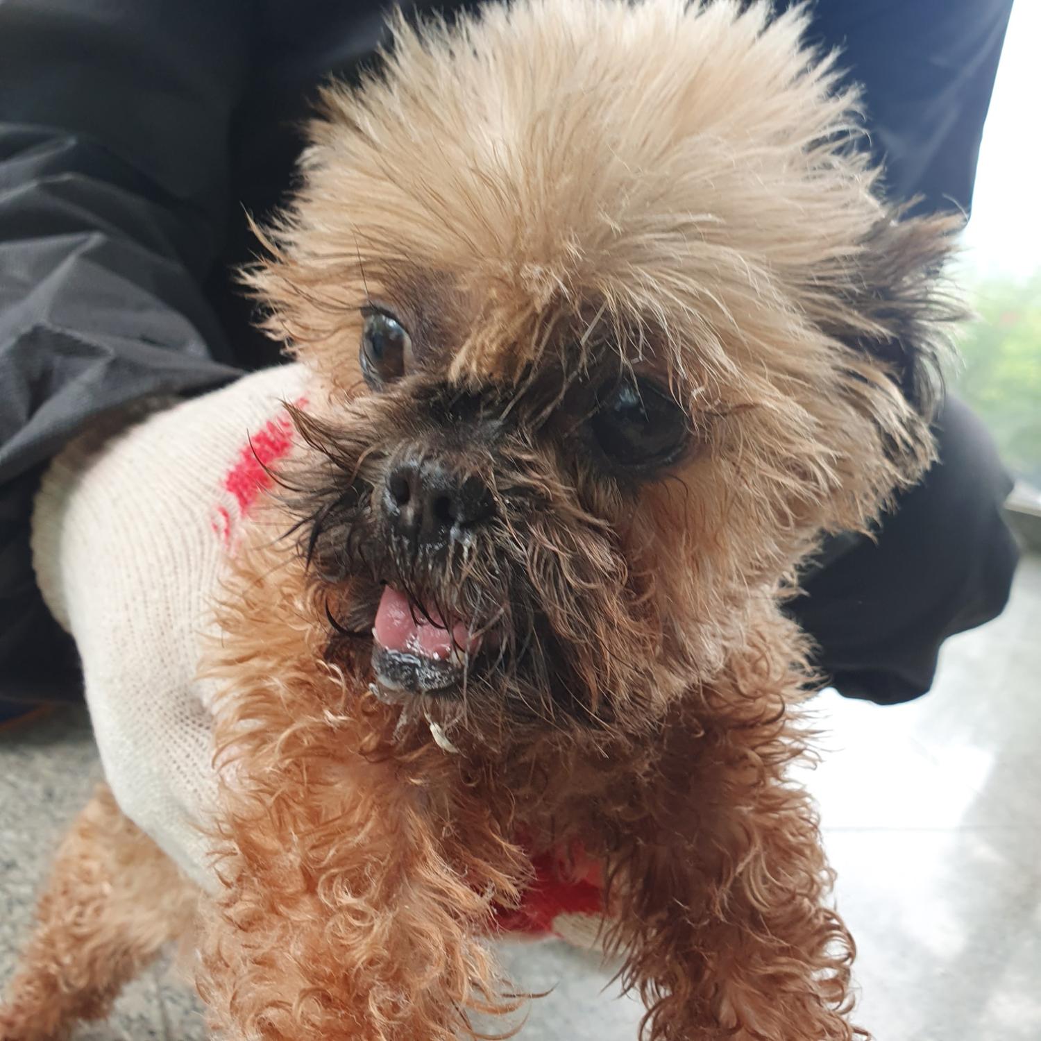 구미시 동물보호센터_447508202300765