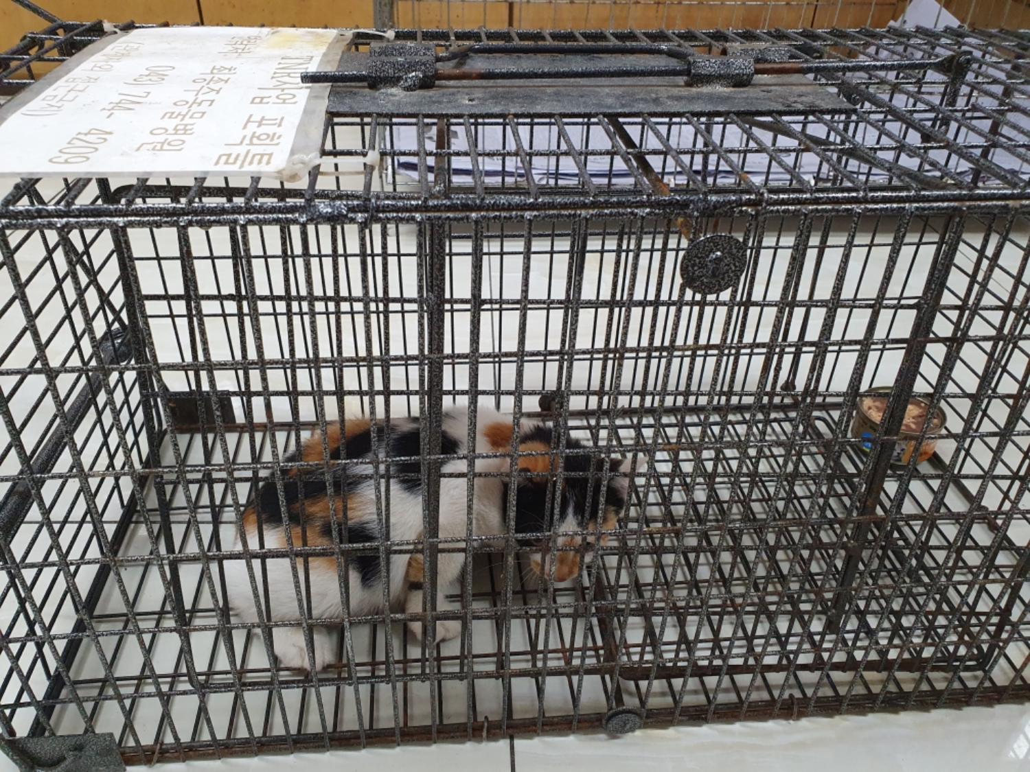 최종주동물병원_443444202300377