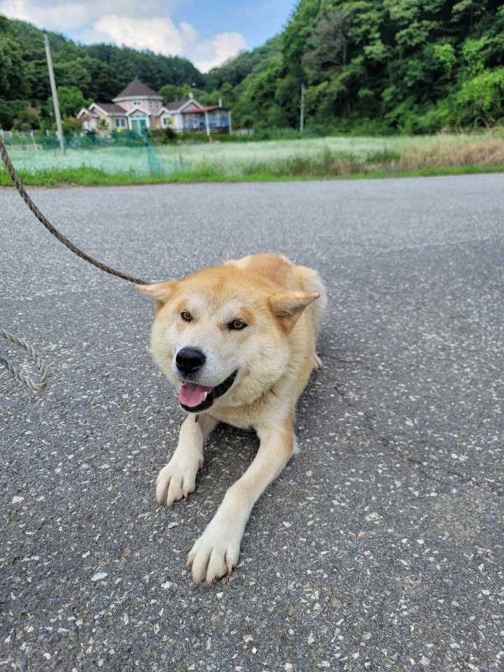 괴산증평동물보호센터_443446202300259