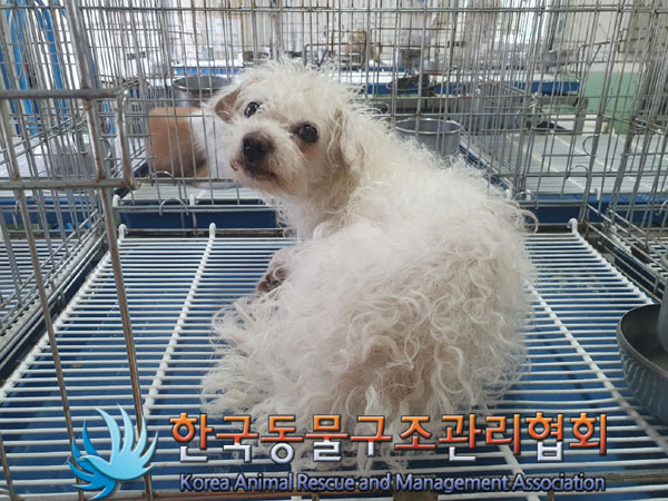한국동물구조관리협회_411300202300249