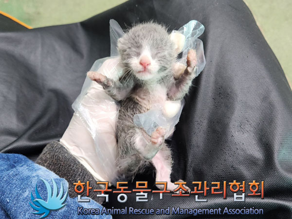 한국동물구조관리협회_411315202300441
