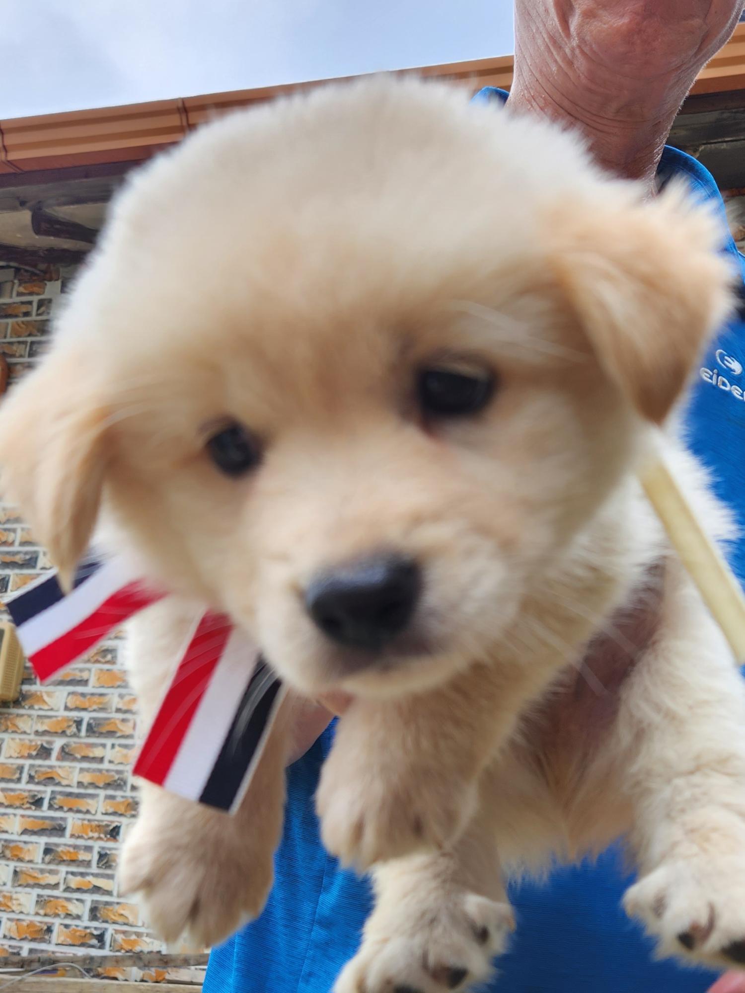 상주시 동물보호센터_447511202300629
