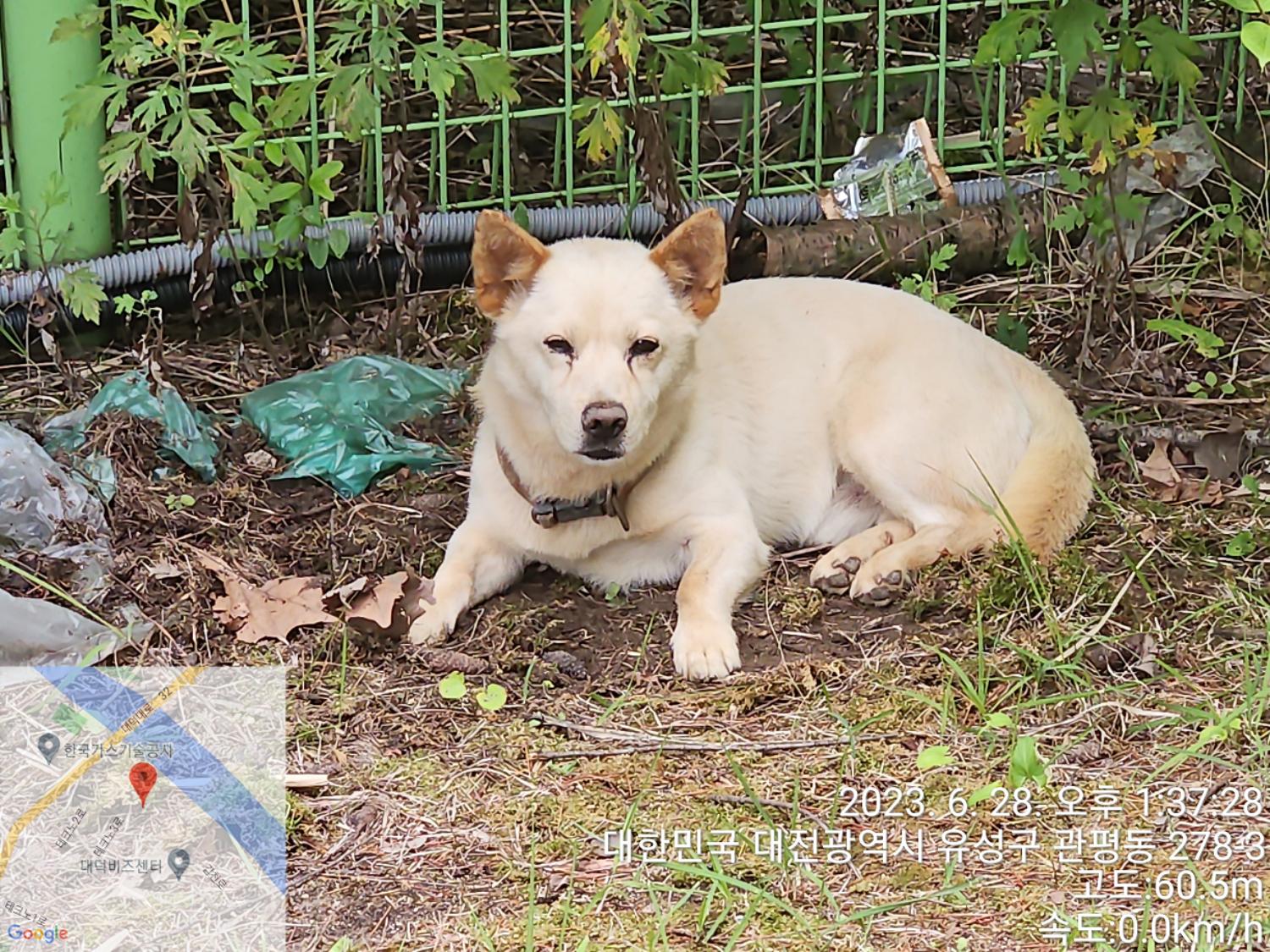 대전동물보호센터_430367202300376