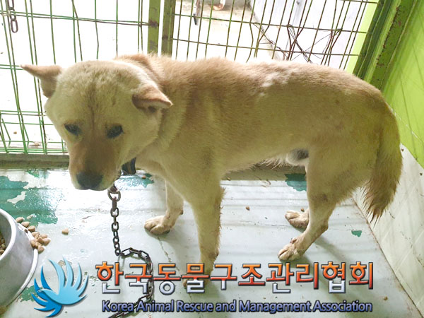 한국동물구조관리협회_441406202300946