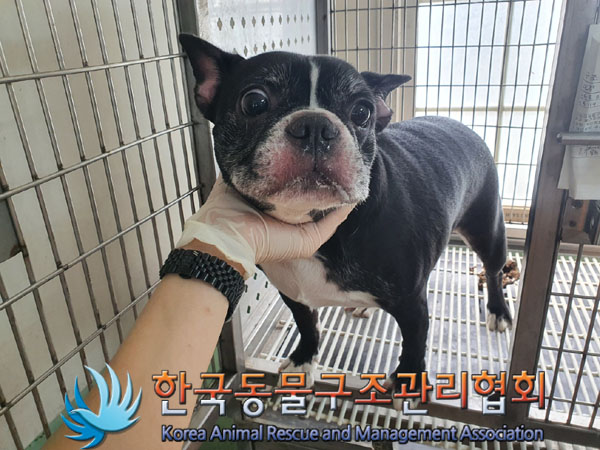 한국동물구조관리협회_411304202300424