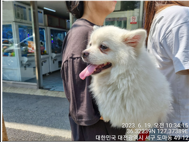 대전동물보호센터_430366202300387