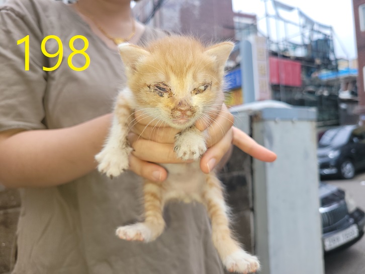 신영재동물병원_428355202300354