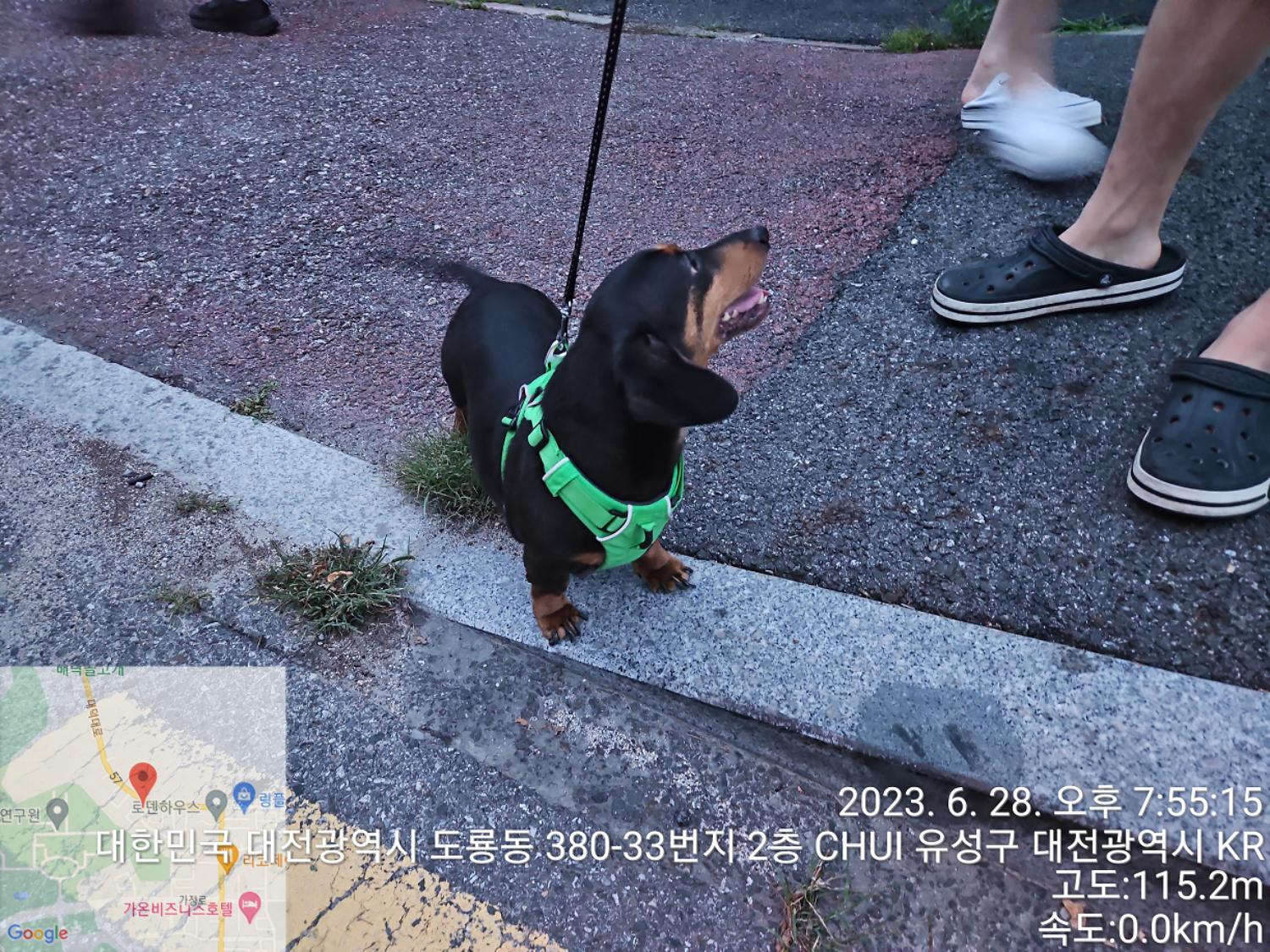 대전동물보호센터_430367202300377