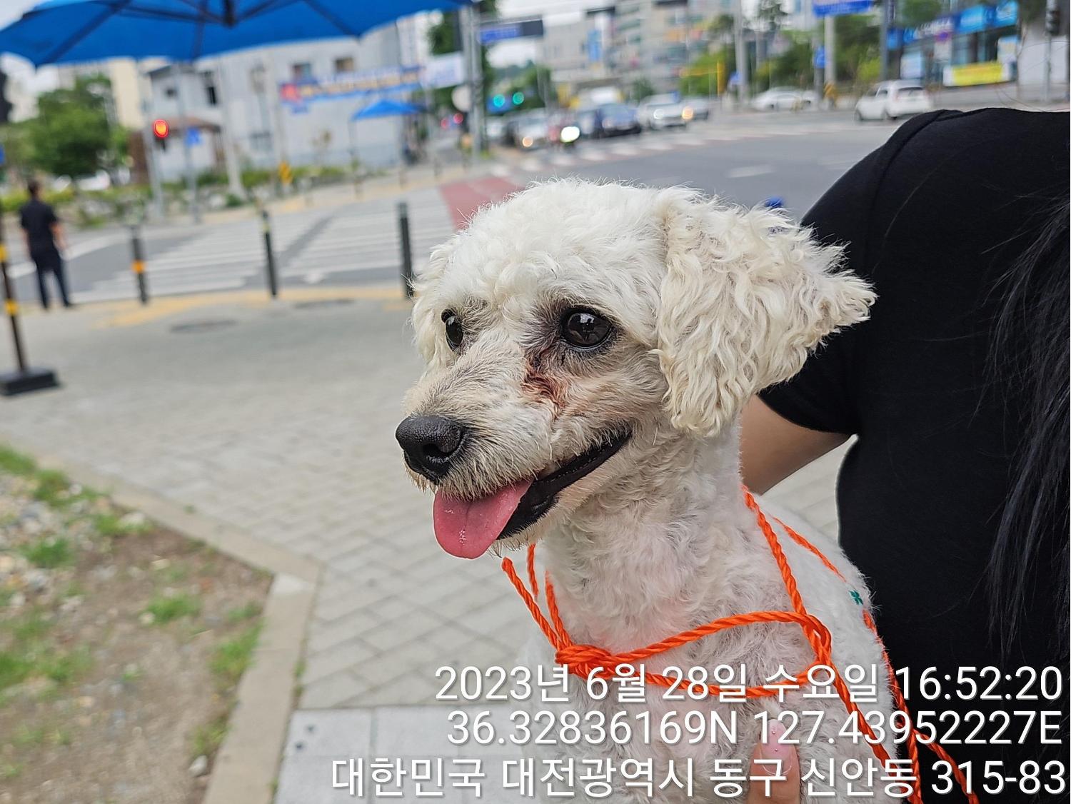 대전동물보호센터_430364202300209