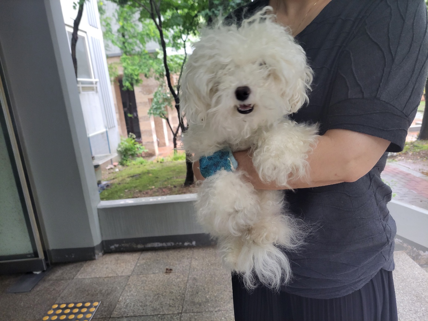 고양시동물보호센터_441394202301444