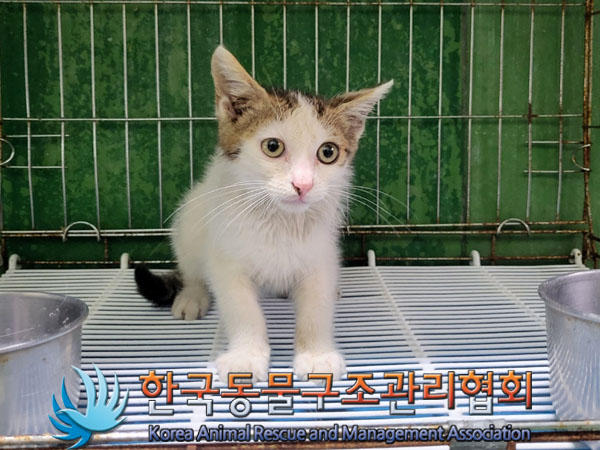 한국동물구조관리협회_411315202300447