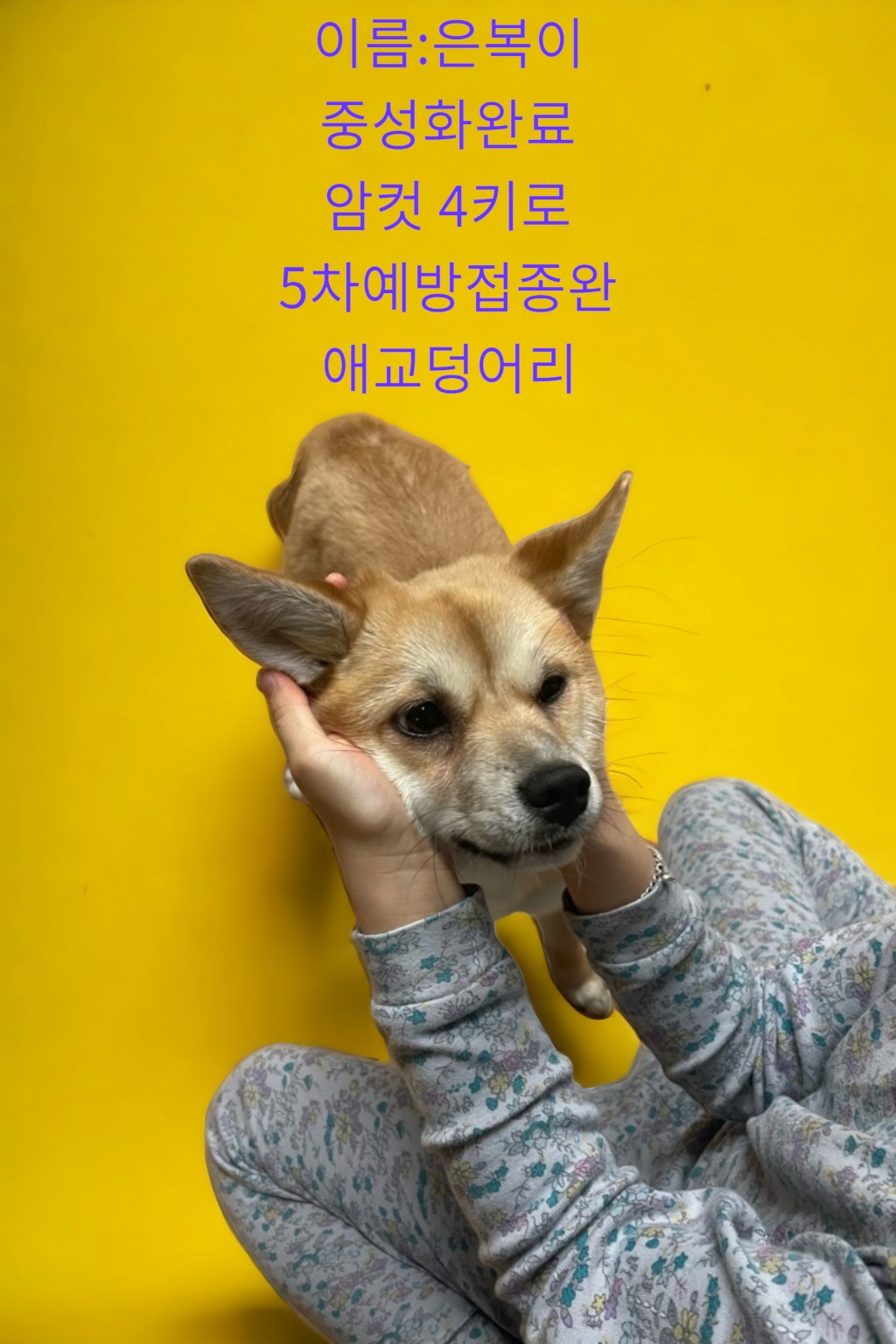 성주유기동물보호센터_447521202300220