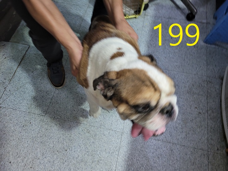 신영재동물병원_428355202300355