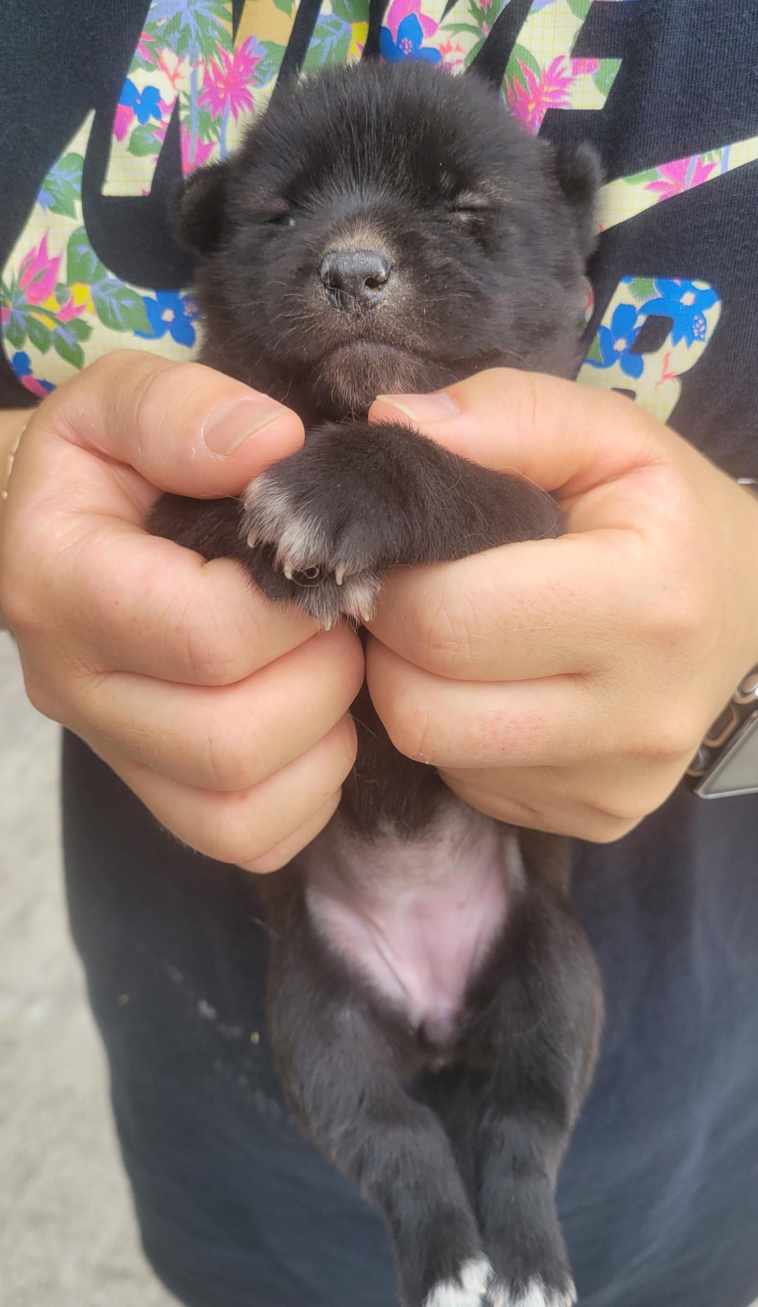 창녕 유기동물보호소_448541202301090