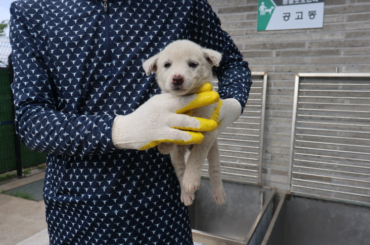 제주 동물보호센터_450650202302177
