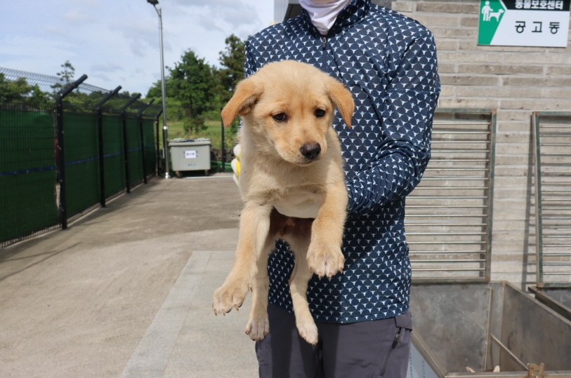 제주 동물보호센터_450650202302174