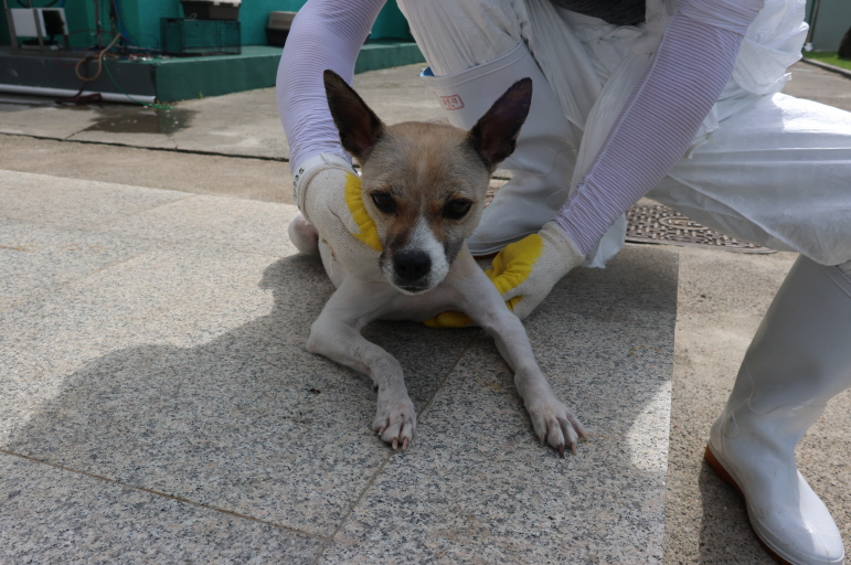 제주 동물보호센터_450650202302171