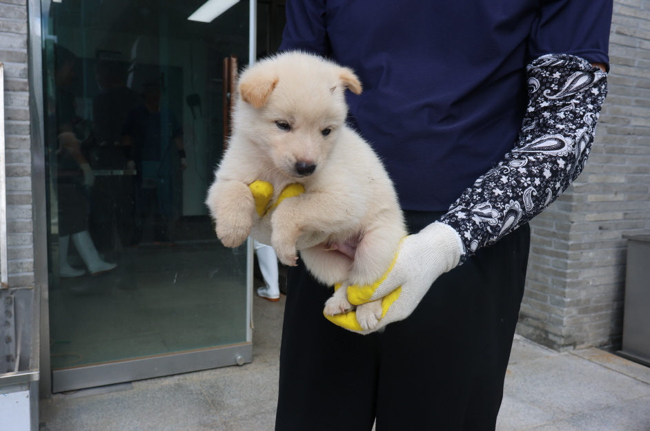 제주 동물보호센터_450650202302179