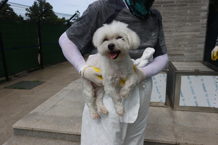 제주 동물보호센터_450650202302172