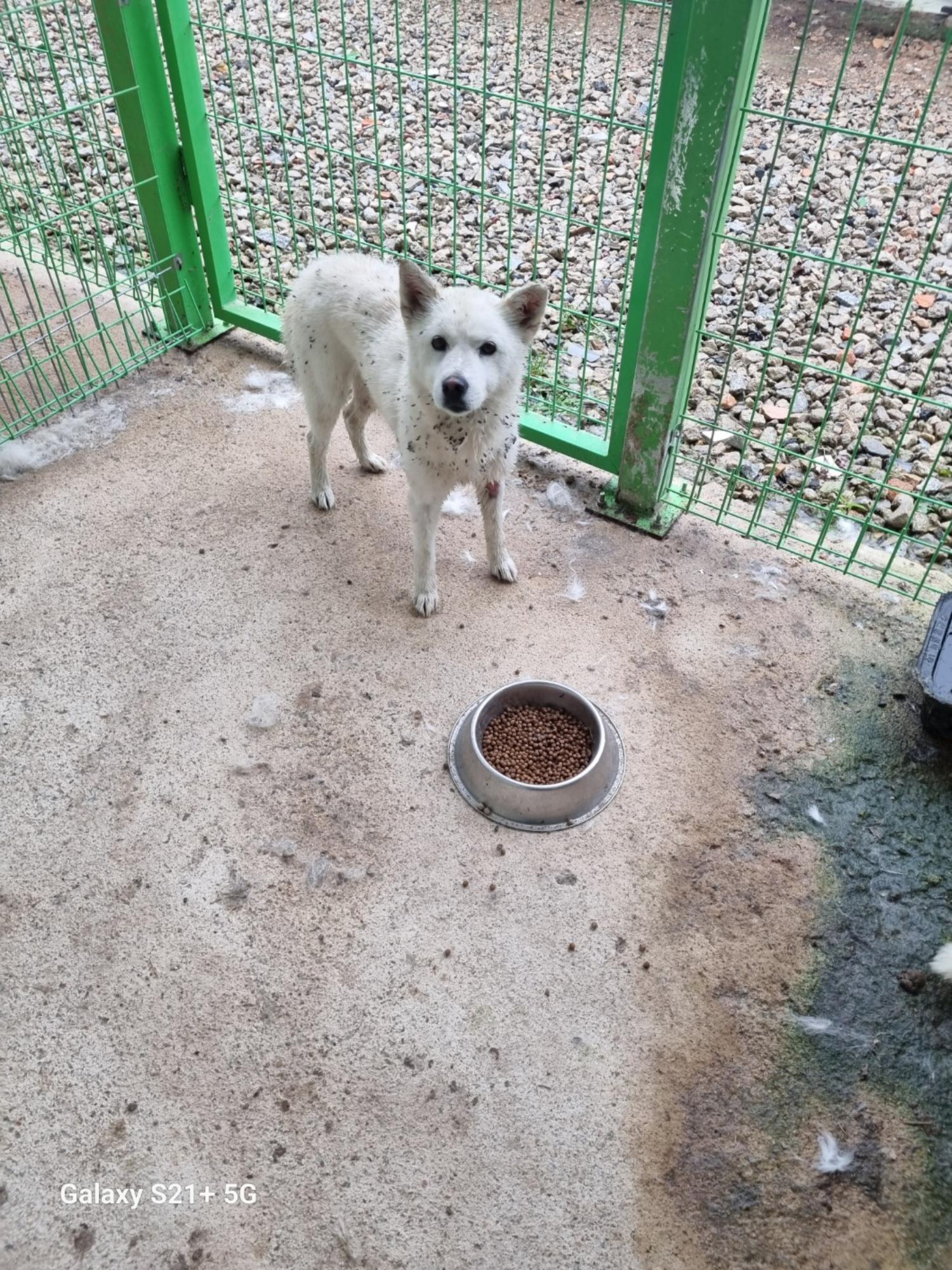 전북말산업복합센터_445471202300158
