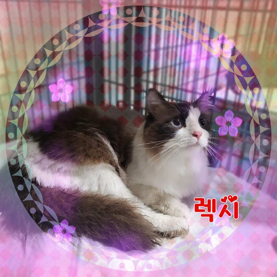 군산유기동물보호센터_445467202301183