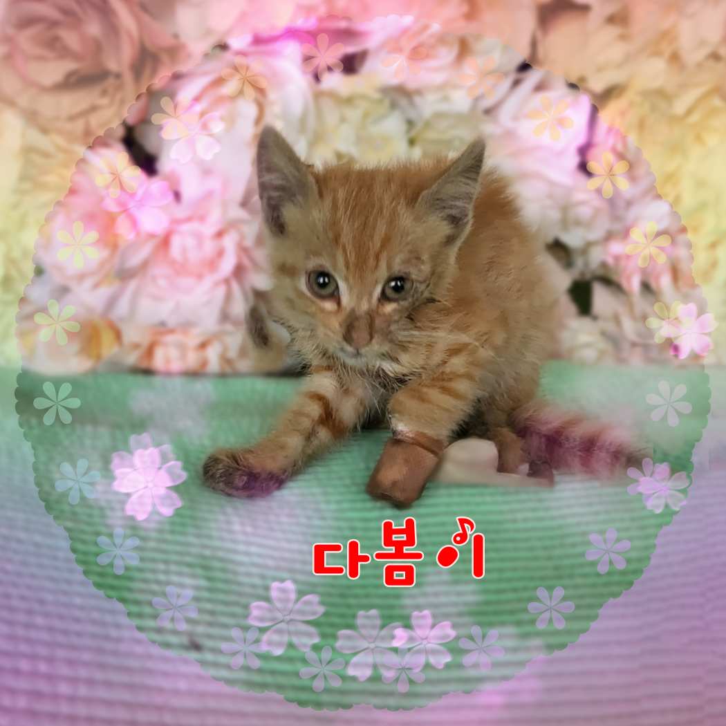 군산유기동물보호센터_445467202301185