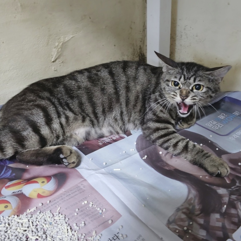 장성군동물보호센터_446498202300290