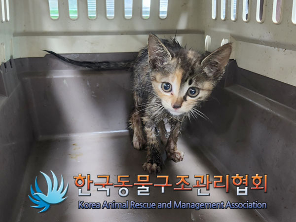 한국동물구조관리협회_441414202300419