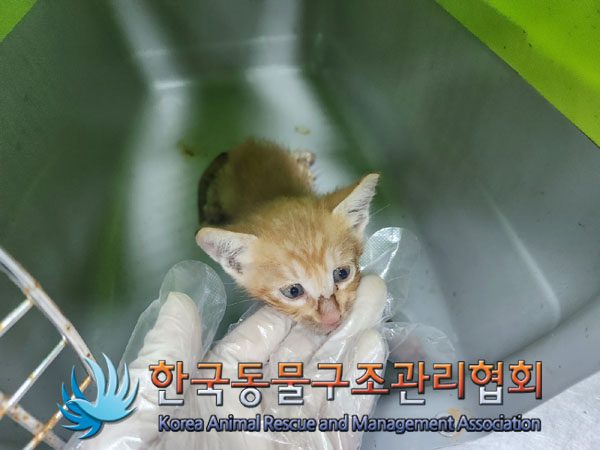 한국동물구조관리협회_411300202300255