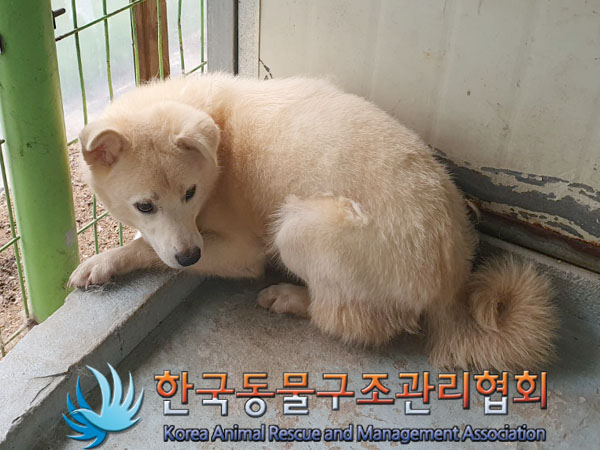 한국동물구조관리협회_441559202300503