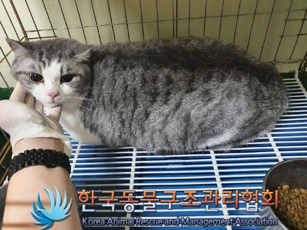 한국동물구조관리협회_411322202300410