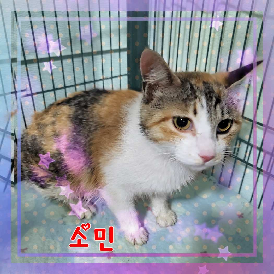 군산유기동물보호센터_445467202301187
