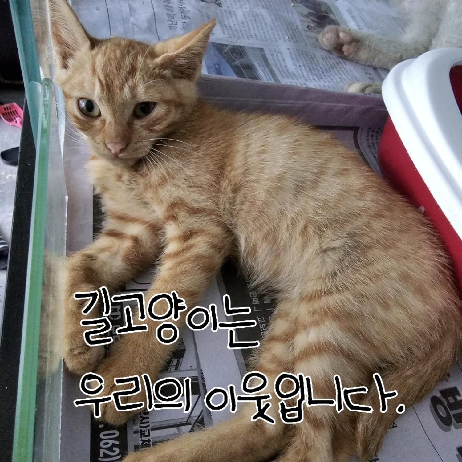 장성군동물보호센터_446498202300305