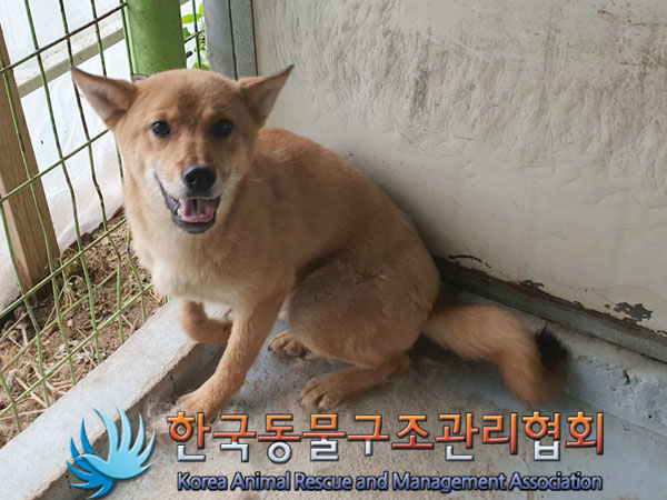 한국동물구조관리협회_441559202300507