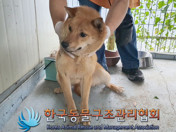 한국동물구조관리협회_441559202300511