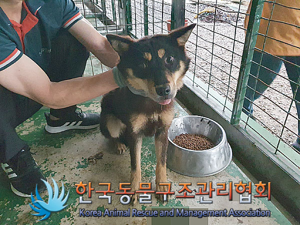 한국동물구조관리협회_441559202300522