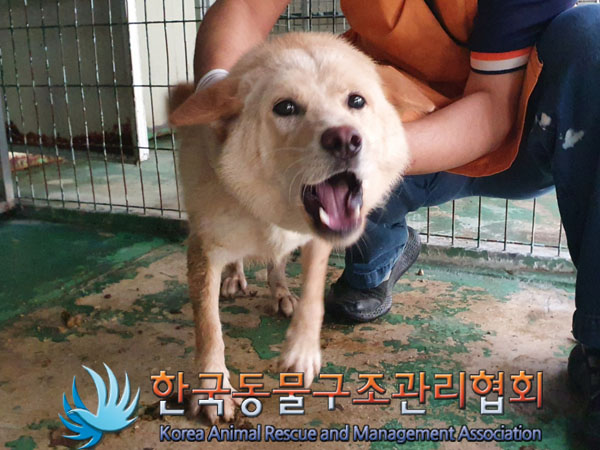 한국동물구조관리협회_441559202300514